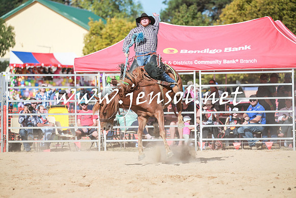 BraidwoodRodeo2016_3943