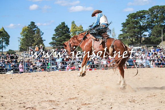 BraidwoodRodeo2016_3771