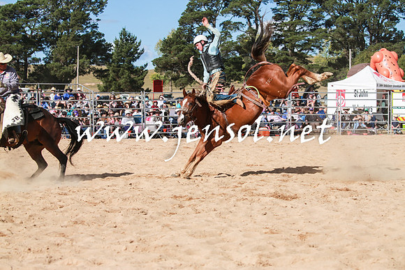 BraidwoodRodeo2016_3866