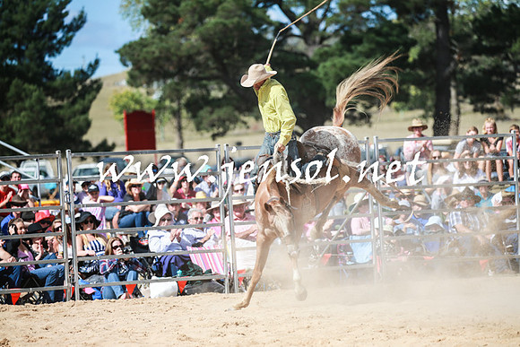BraidwoodRodeo2016_3413