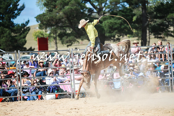 BraidwoodRodeo2016_3417