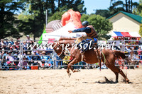 BraidwoodRodeo2016_2867