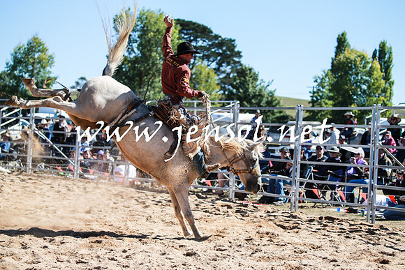 BraidwoodRodeo2016_1940