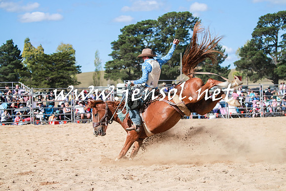 BraidwoodRodeo2016_3772