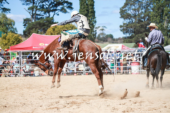 BraidwoodRodeo2016_3190