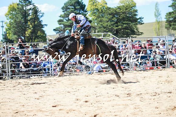 BraidwoodRodeo2016_2840