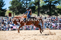 BraidwoodRodeo2016_2861