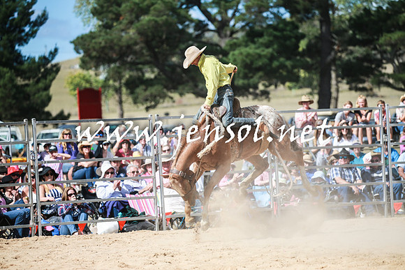 BraidwoodRodeo2016_3412