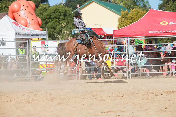 BraidwoodRodeo2016_3935