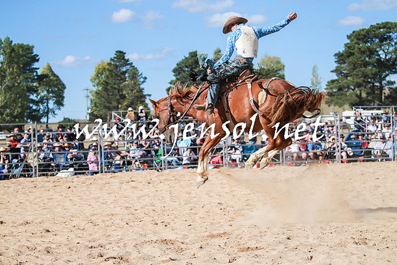 BraidwoodRodeo2016_3788