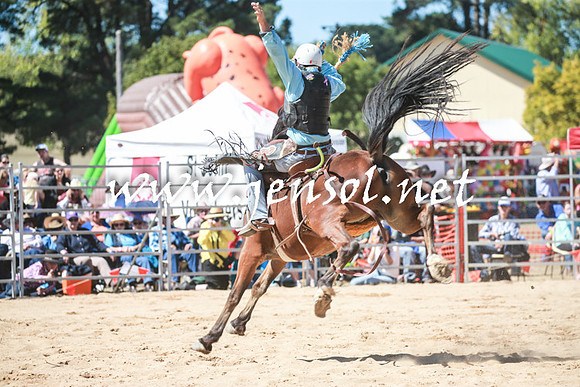 BraidwoodRodeo2016_2901