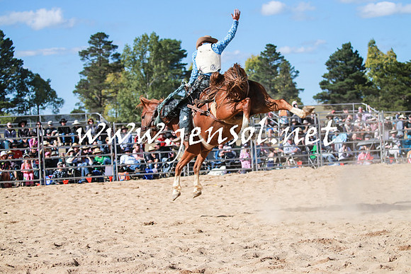 BraidwoodRodeo2016_3782