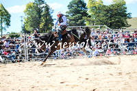BraidwoodRodeo2016_2841