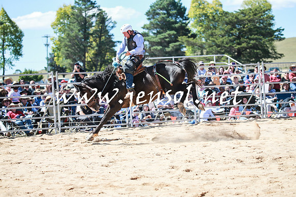BraidwoodRodeo2016_2841