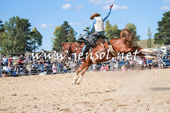 BraidwoodRodeo2016_3793