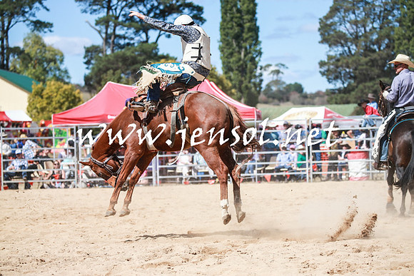 BraidwoodRodeo2016_3191