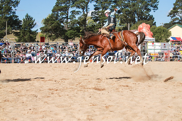 BraidwoodRodeo2016_3846