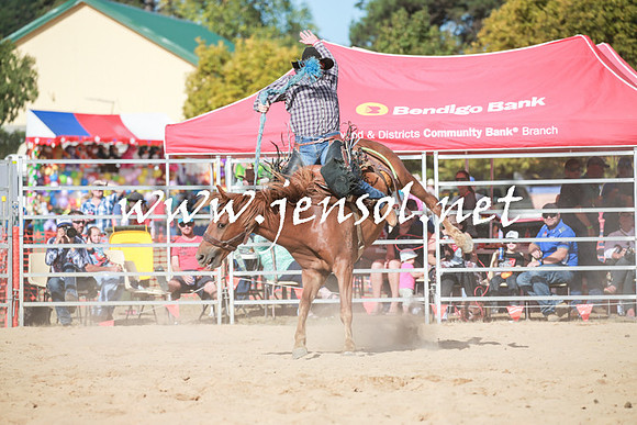 BraidwoodRodeo2016_3946