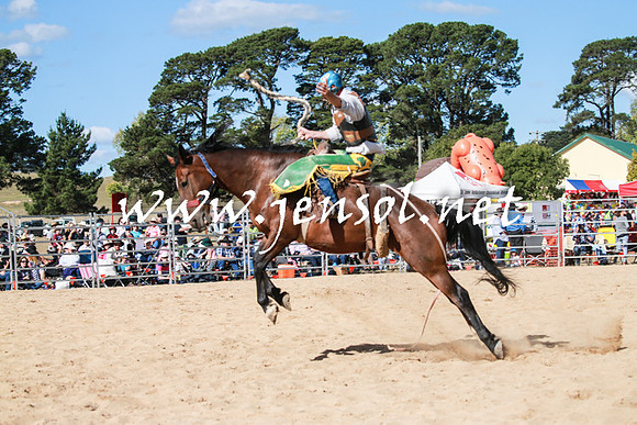 BraidwoodRodeo2016_3724