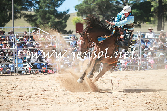BraidwoodRodeo2016_2920