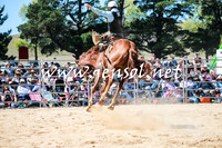 BraidwoodRodeo2016_2785