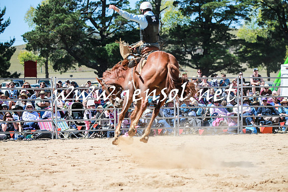 BraidwoodRodeo2016_2785