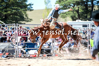 BraidwoodRodeo2016_2801