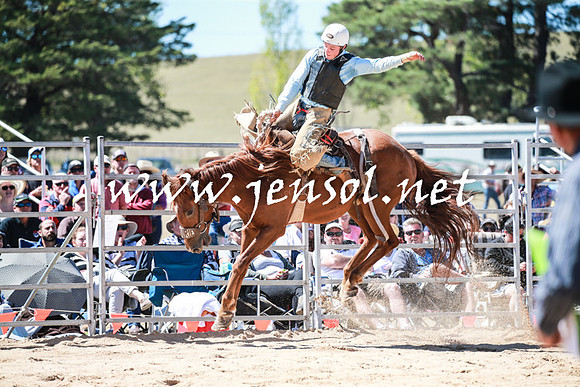 BraidwoodRodeo2016_2801