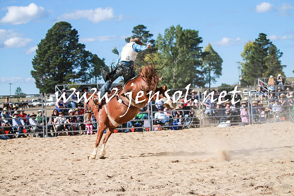 BraidwoodRodeo2016_3794