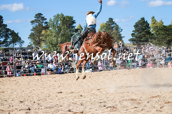BraidwoodRodeo2016_3783
