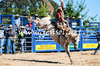 BraidwoodRodeo2016_1912