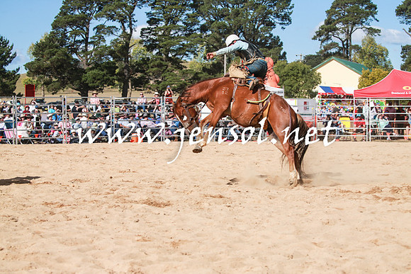 BraidwoodRodeo2016_3844