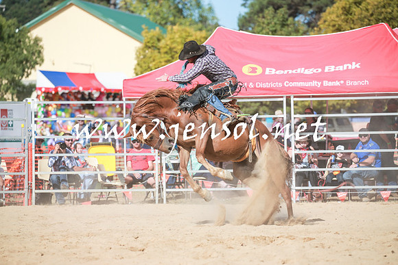 BraidwoodRodeo2016_3936