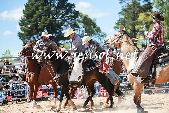 BraidwoodRodeo2016_3231