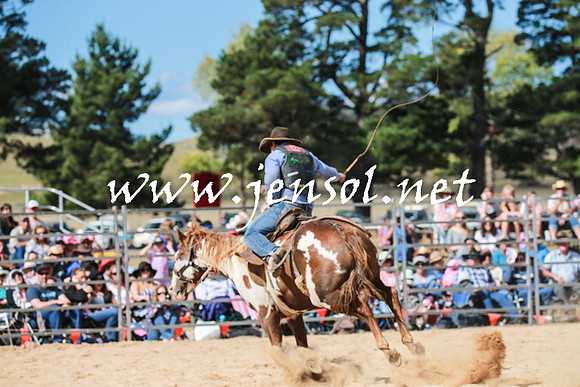 BraidwoodRodeo2016_3370