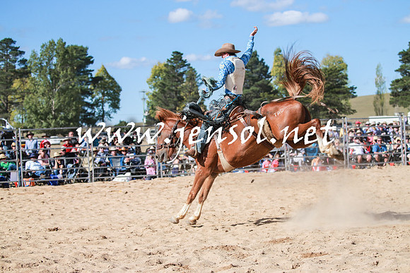 BraidwoodRodeo2016_3791