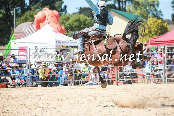 BraidwoodRodeo2016_2890