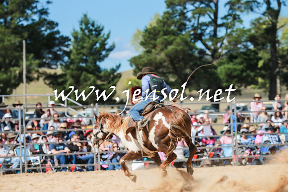 BraidwoodRodeo2016_3369