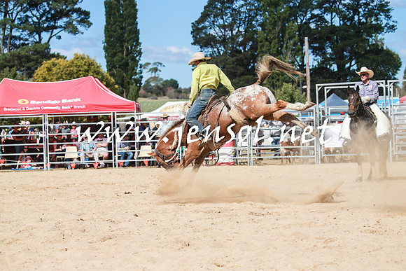 BraidwoodRodeo2016_3391