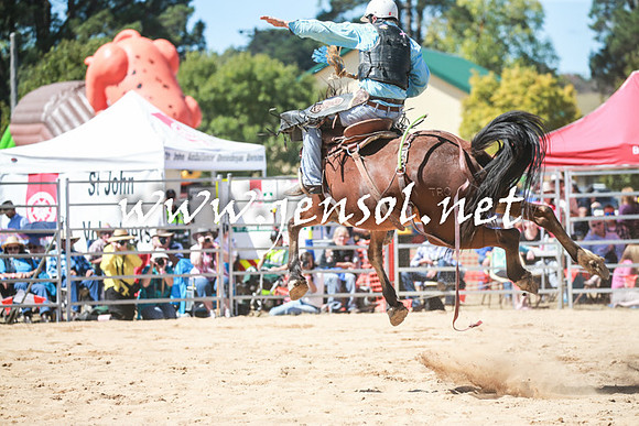 BraidwoodRodeo2016_2892