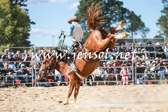 BraidwoodRodeo2016_3798