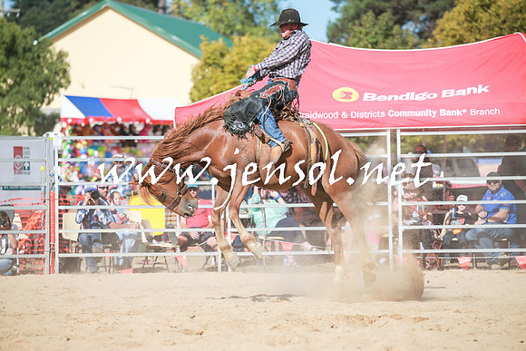 BraidwoodRodeo2016_3938