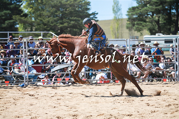 BraidwoodRodeo2016_2876