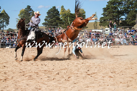 BraidwoodRodeo2016_3874