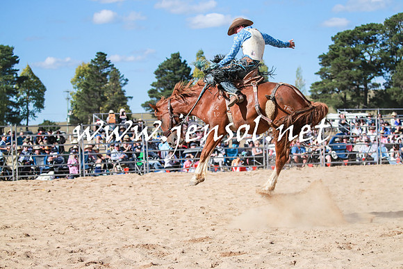 BraidwoodRodeo2016_3787