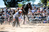 BraidwoodRodeo2016_2846