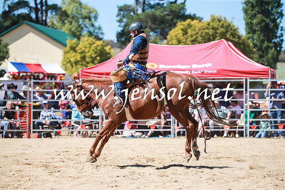 BraidwoodRodeo2016_2852