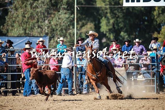 TumutRodeo2016Two_3348