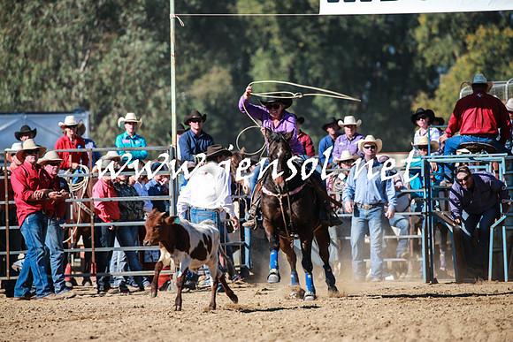 TumutRodeo2016Two_3350