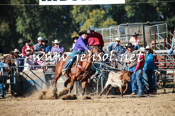 TumutRodeo2016Two_3343